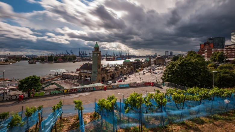 View over the Hamburg Harbour